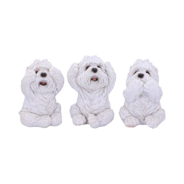 Three Wise Westies - Image 3