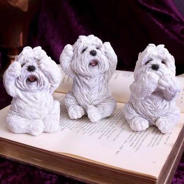 Three Wise Westies - Image 4