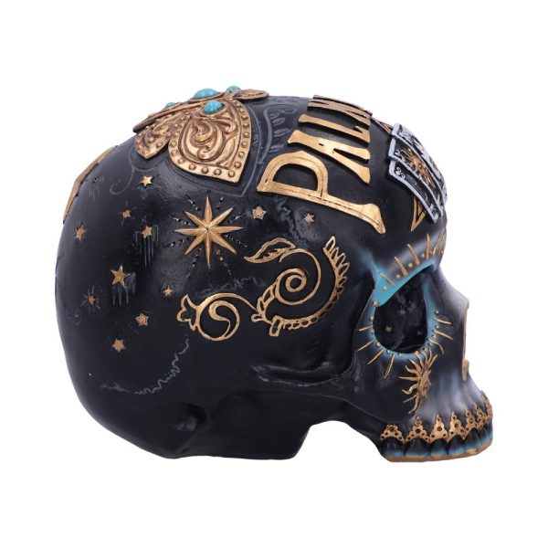 Destiny Palmistry Skull - Image 7