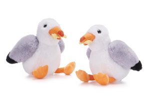 Steven Seagull with Chip