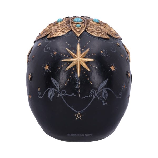 Destiny Palmistry Skull - Image 5