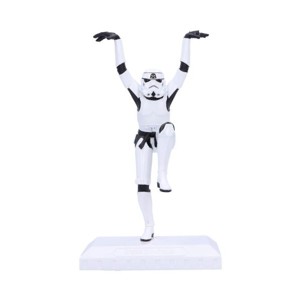 Stormtrooper - Crane Kick