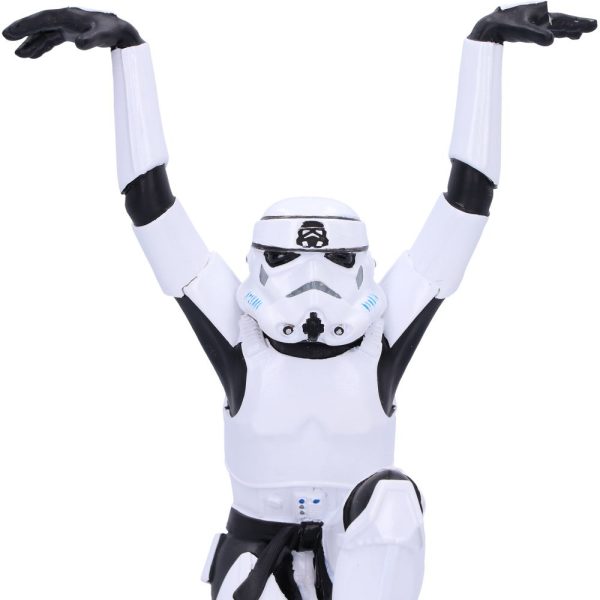 Stormtrooper - Crane Kick - Image 2