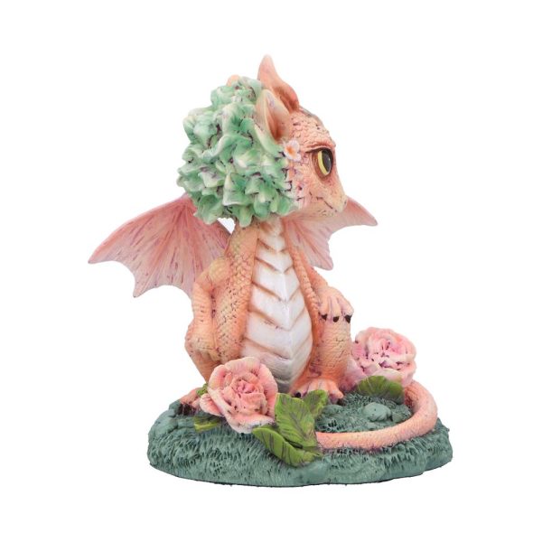 Carnation Flower Dragon - Image 4