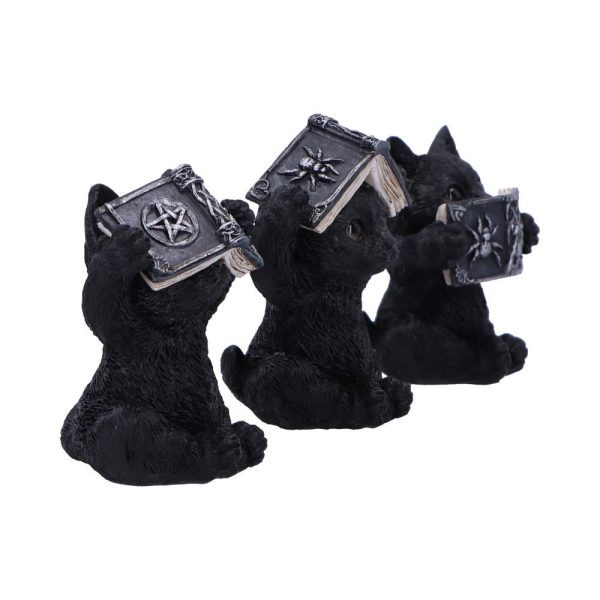 Three Wise Spell Cats - Image 5