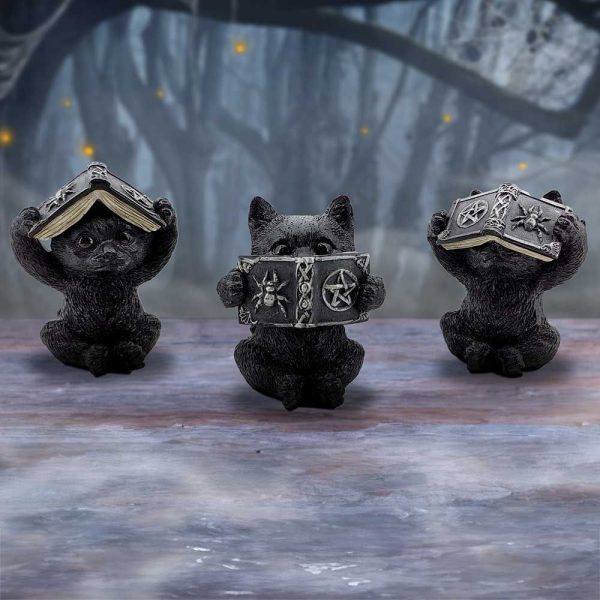 Three Wise Spell Cats - Image 7