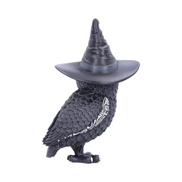 Owlocen - Image 3