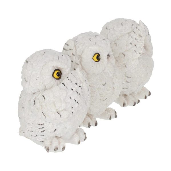 Three Wise Owls - Image 7