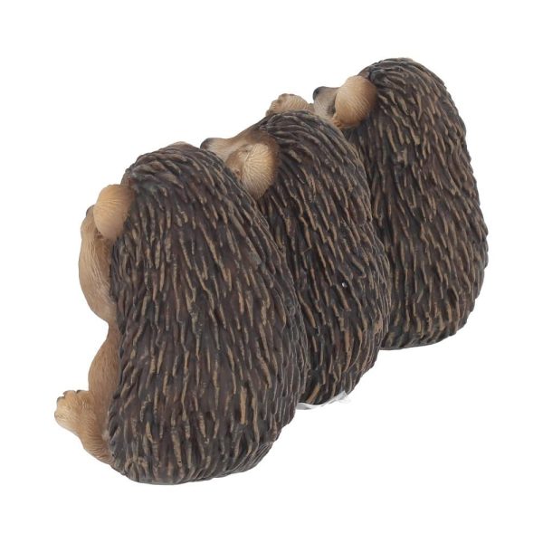 Three Wise Hedgehogs - Image 3