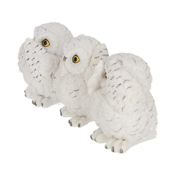 Three Wise Owls - Image 6