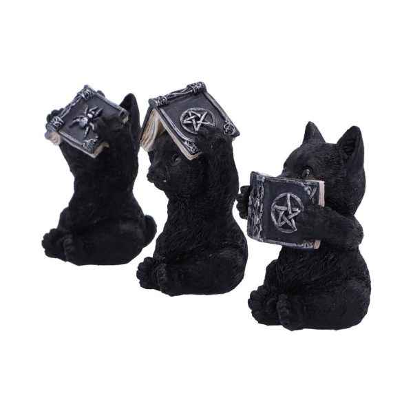 Three Wise Spell Cats - Image 6