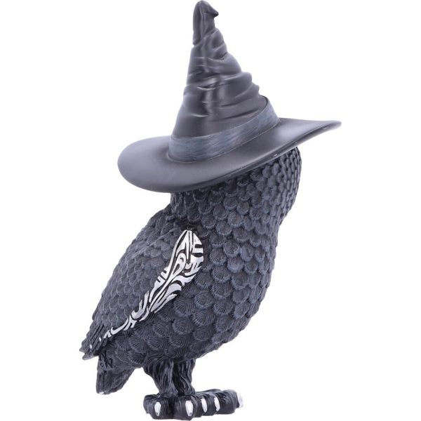 Owlocen - Image 2