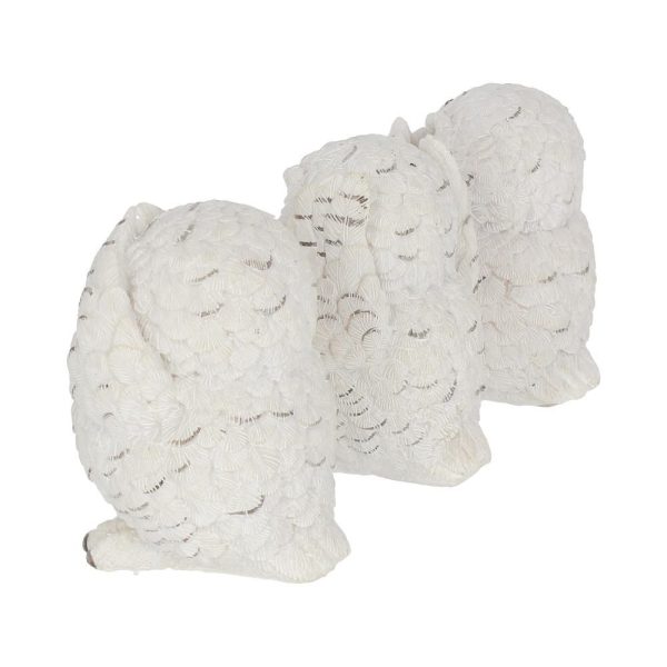 Three Wise Owls - Image 4
