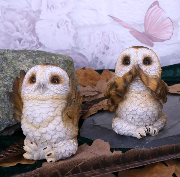 Three Wise Brown Owls - Image 2