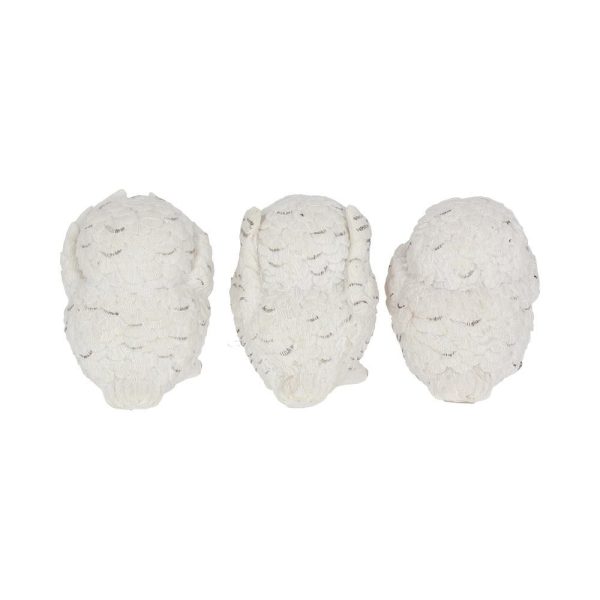 Three Wise Owls - Image 3