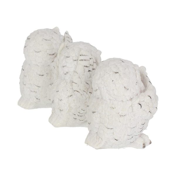 Three Wise Owls - Image 2