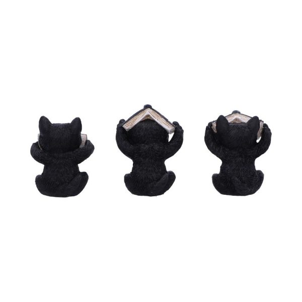 Three Wise Spell Cats - Image 4