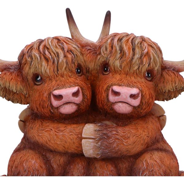 Highland Hug - Image 3