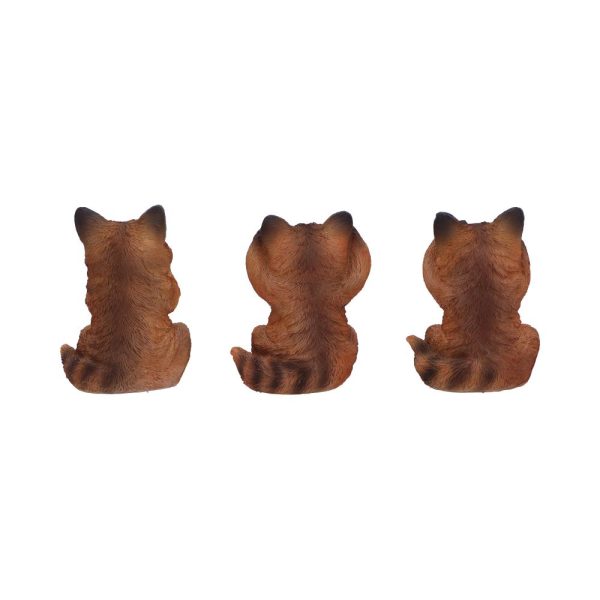 Three Wise Foxes - Image 2